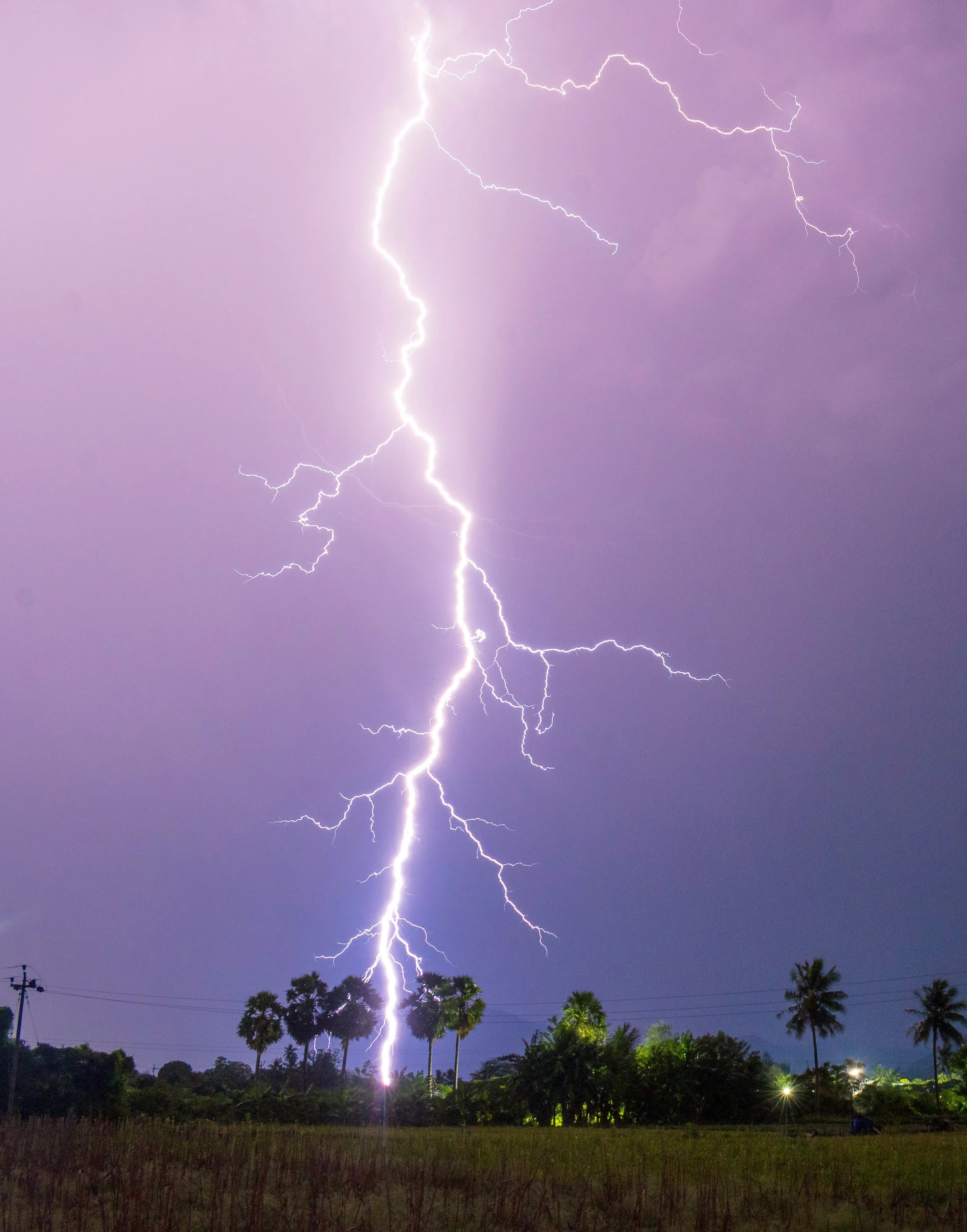 Image for Electric Invasion