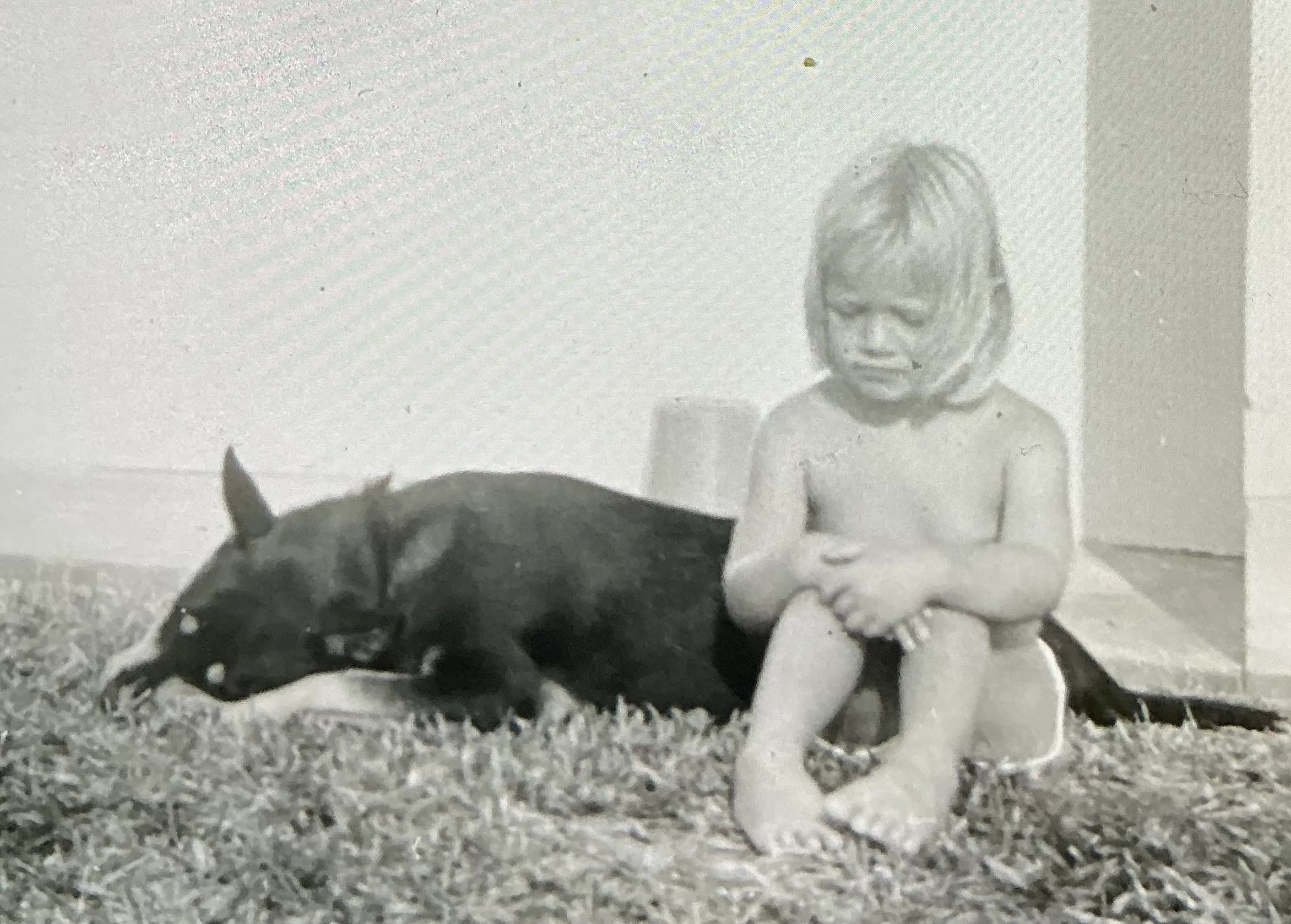 Image for Loneliness