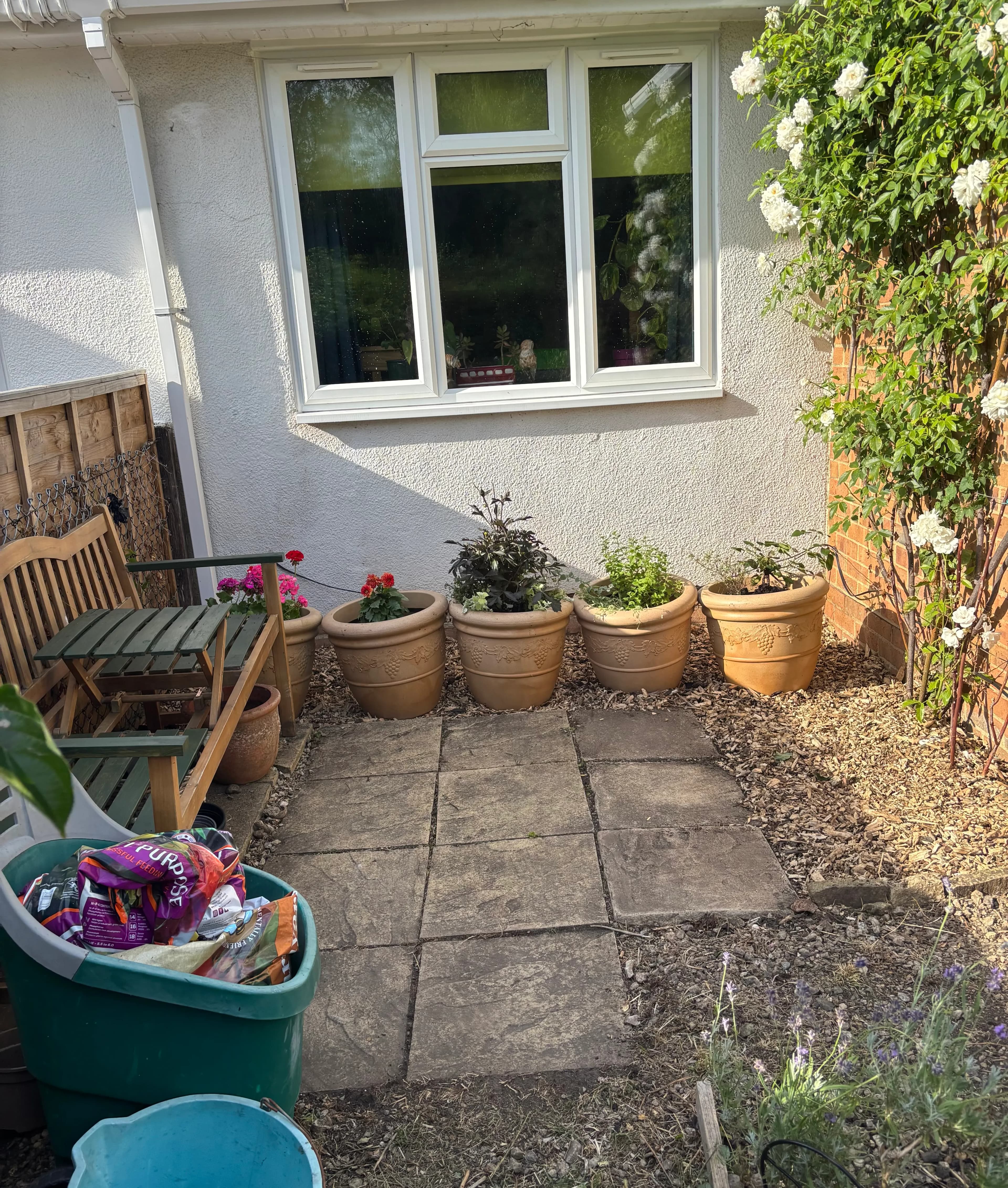 Image for My Summer garden project