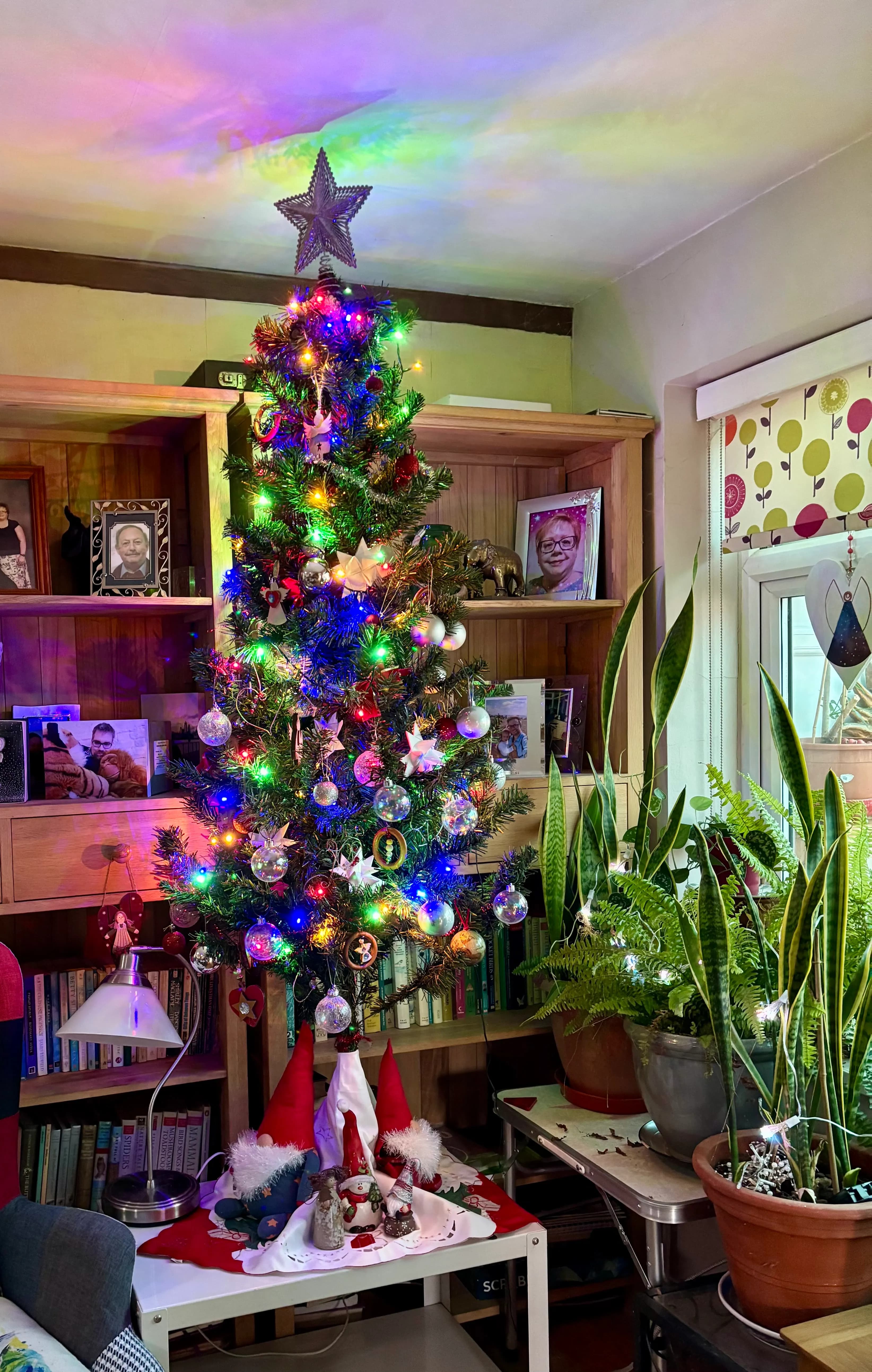 Image for What Christmas means to me